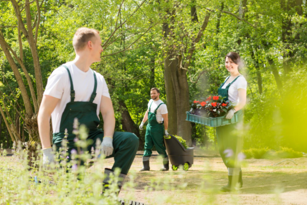a group of people landscaping outside